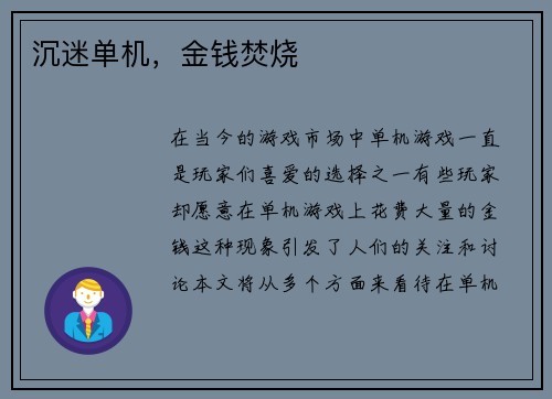 沉迷单机，金钱焚烧